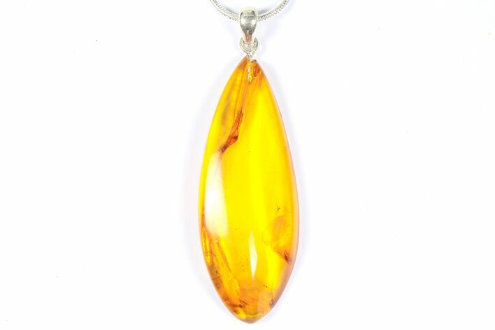 Polished Baltic Amber Pendant (Necklace) - Contains Fly! #368912